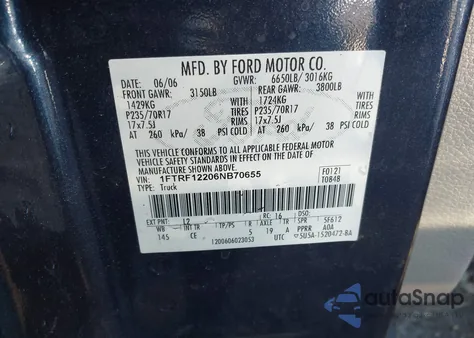 2006 Ford F-150 Stx/Xl/Xlt z USA, uszkodzony, nr VIN 1FTRF12206NB70655